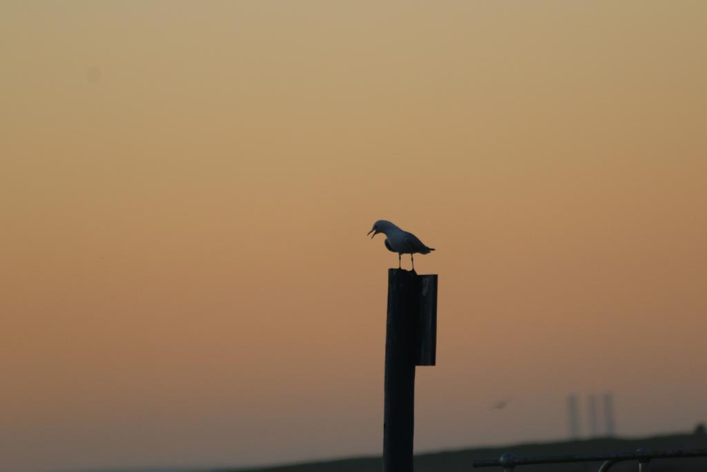 Due South Guest House Langebaan Esterno foto